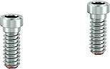 Render of two implant screws on white