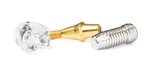 Implant crown, abutment and screw separated on a white background