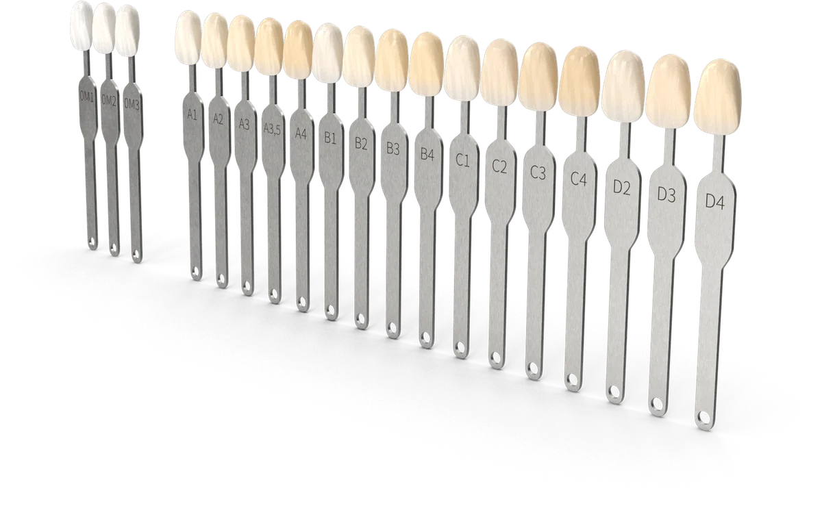 3D render of a dental shade guide including bleached shades from OM1 to D4